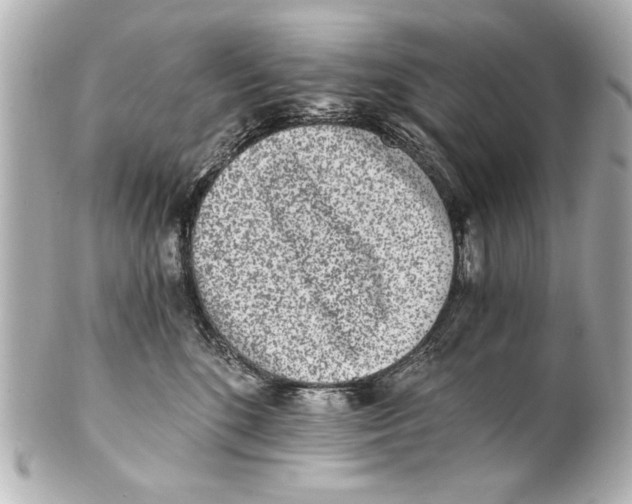 X0000101460520200808041045