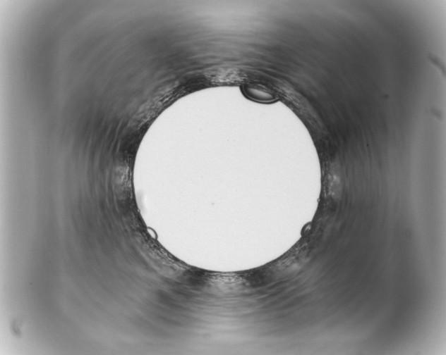 X0000101460521200808041045