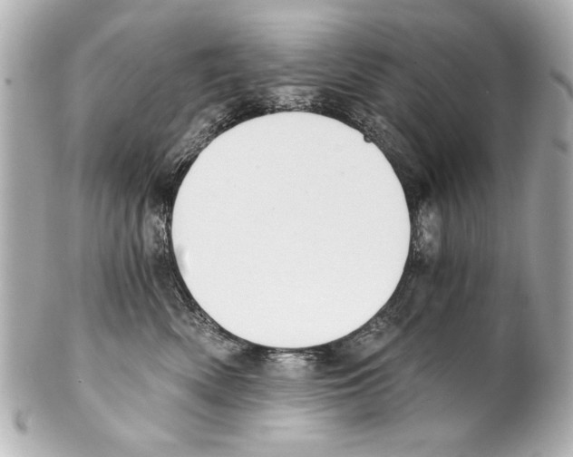 X0000101460522200808041045