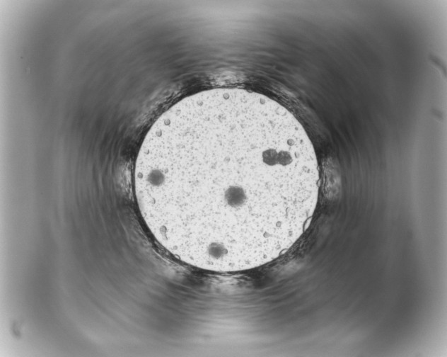X0000101460523200808041045