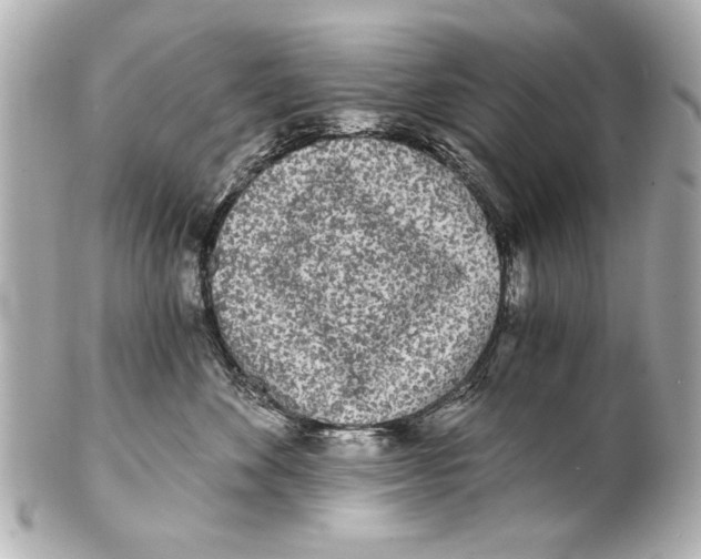 X0000101460524200808041045