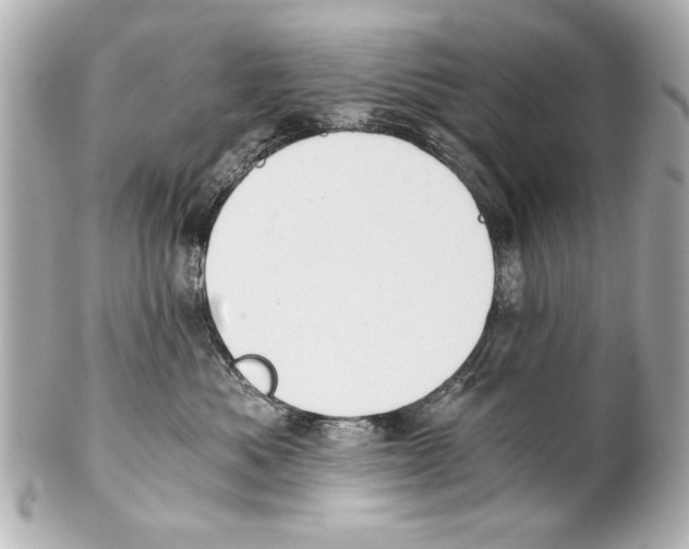 X0000101460525200808041045
