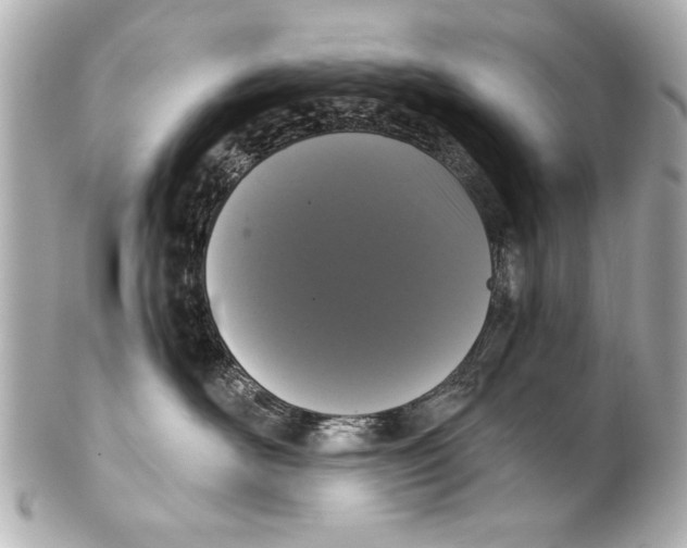 X0000101460526200808041045
