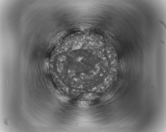 X0000101460527200808041045