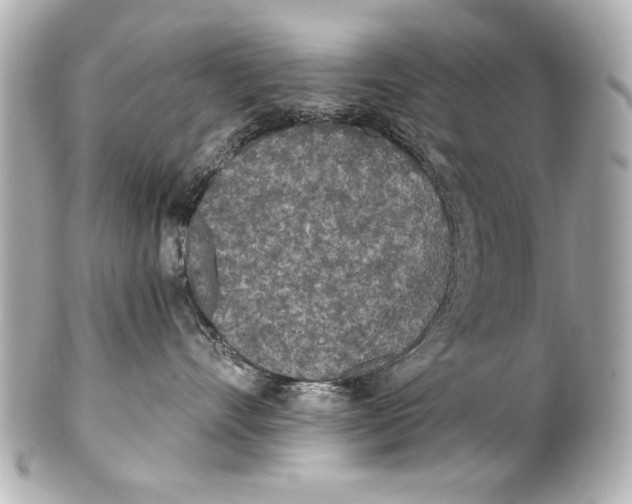 X0000101460528200808041045