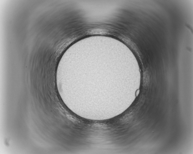 X0000101460529200808041044