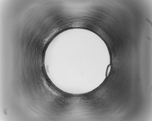 X0000101460530200808041044