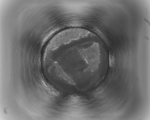 X0000101460531200808041044