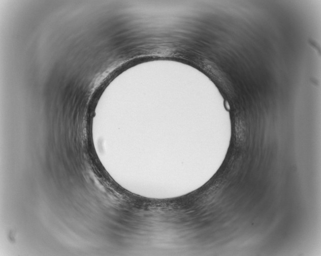 X0000101460532200808041044