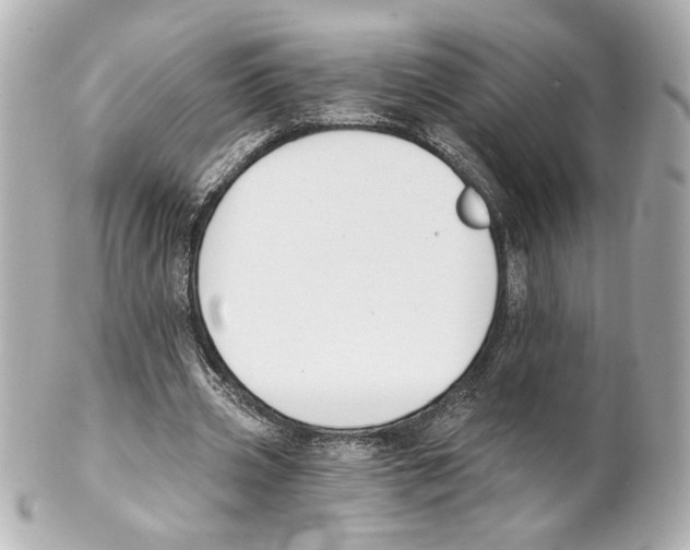 X0000101460533200808041044