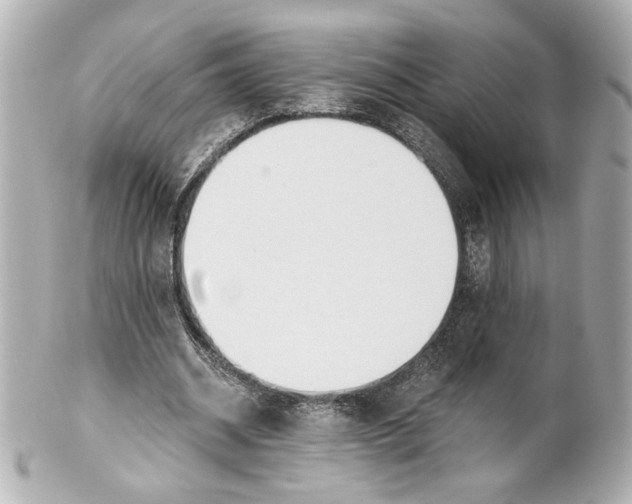 X0000101460534200808041044