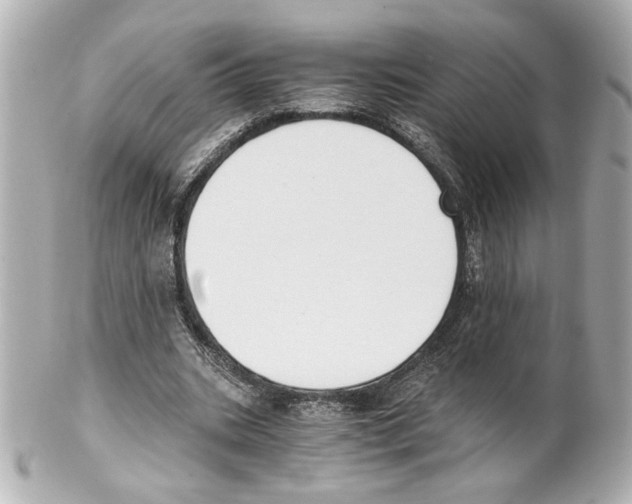 X0000101460535200808041044