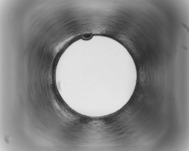 X0000101460536200808041044
