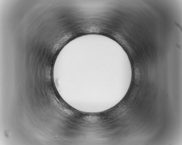 X0000101460537200808041044