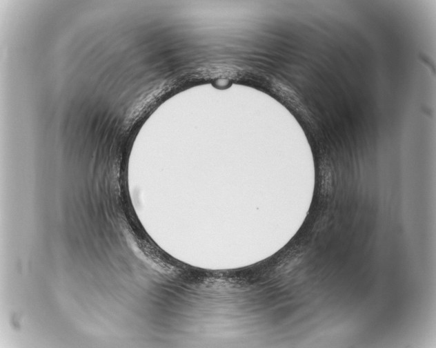 X0000101460538200808041044