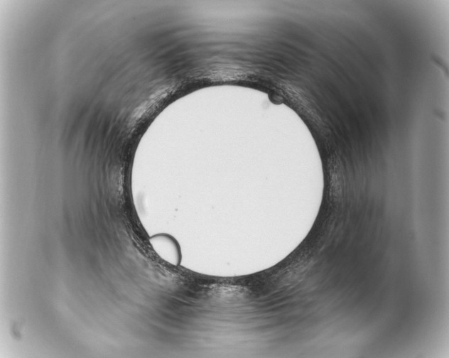 X0000101460539200808041044