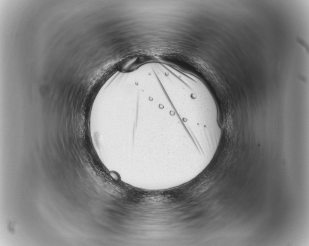 X0000101460540200808041044