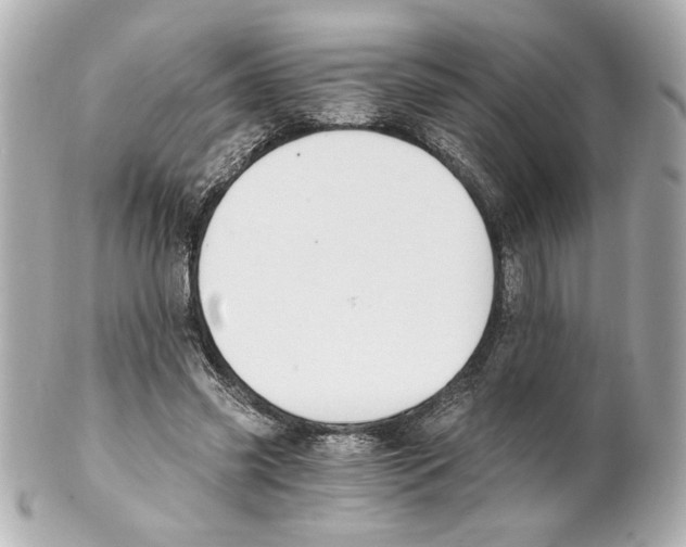 X0000101460541200808041044