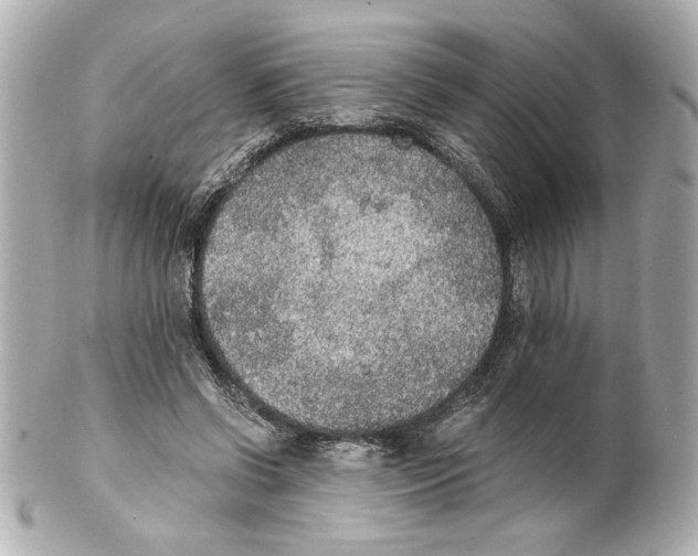 X0000101460542200808041044