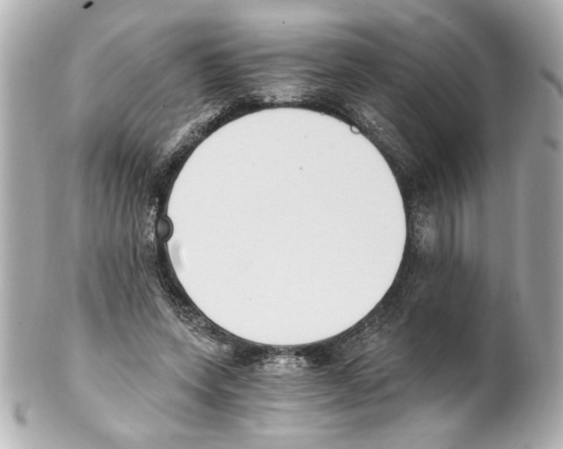 X0000101460543200808041044