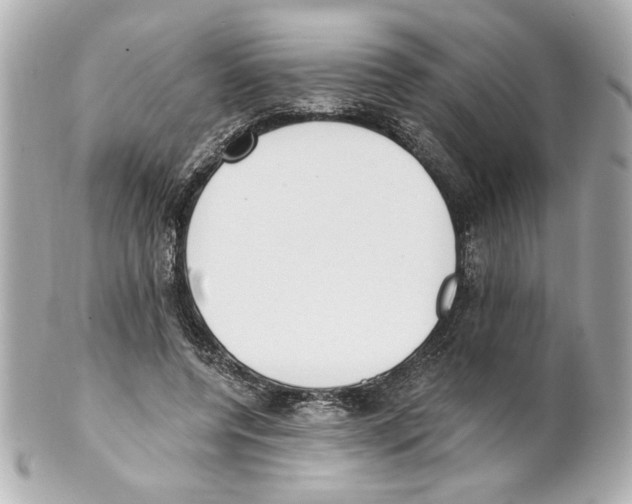 X0000101460544200808041044