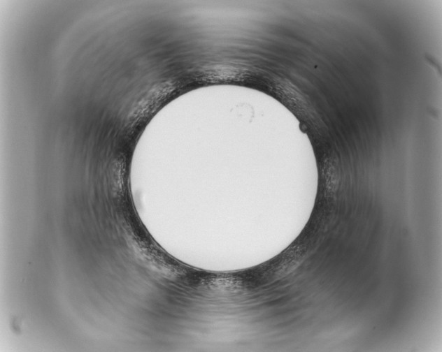 X0000101460546200808041044