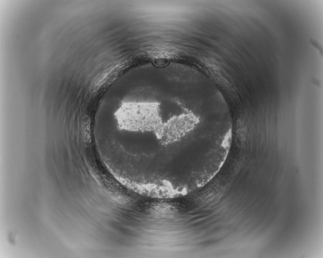 X0000101460547200808041044
