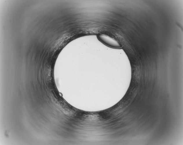 X0000101460548200808041044