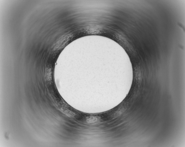 X0000101460549200808041044