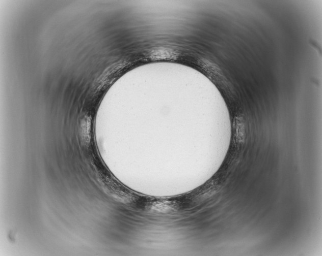 X0000101460550200808041044