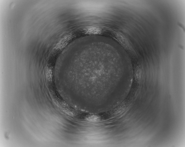 X0000101460551200808041044