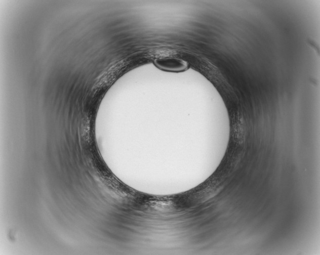 X0000101460552200808041044