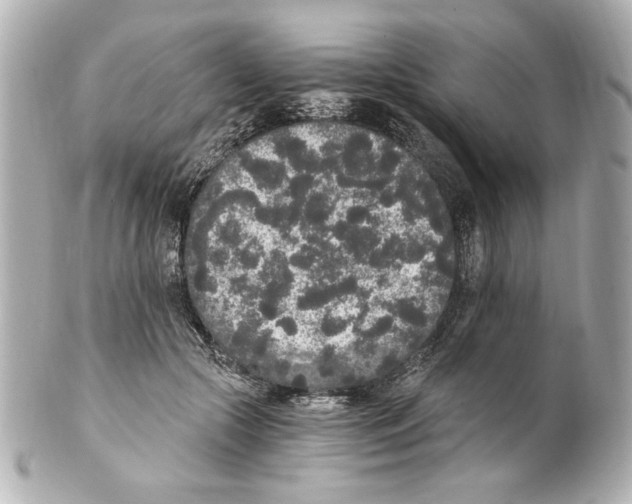 X0000101460553200808041044