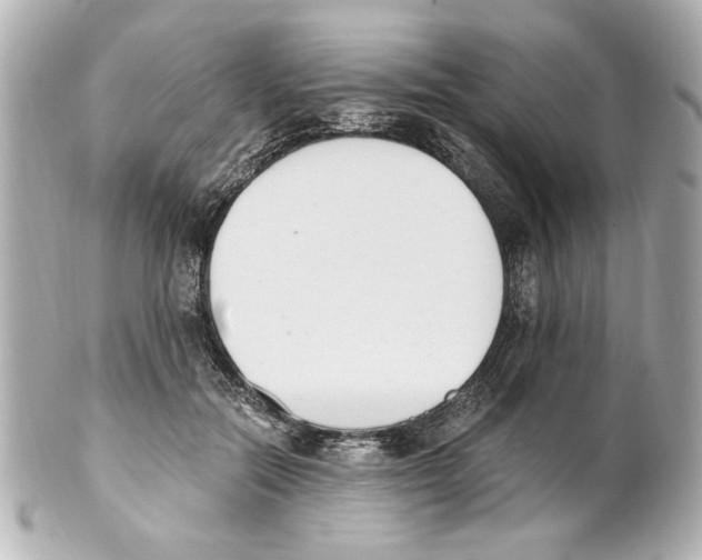 X0000101460554200808041044