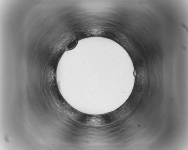 X0000101460555200808041044