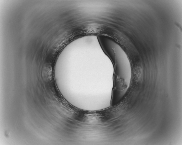 X0000101460556200808041044