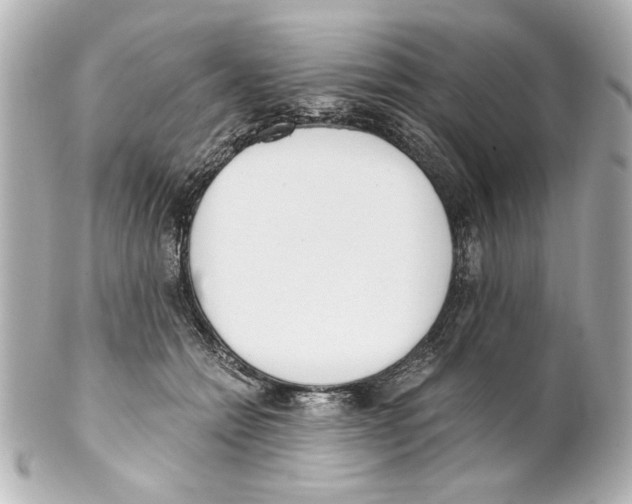 X0000101460558200808041044