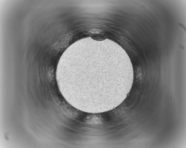 X0000101460559200808041044