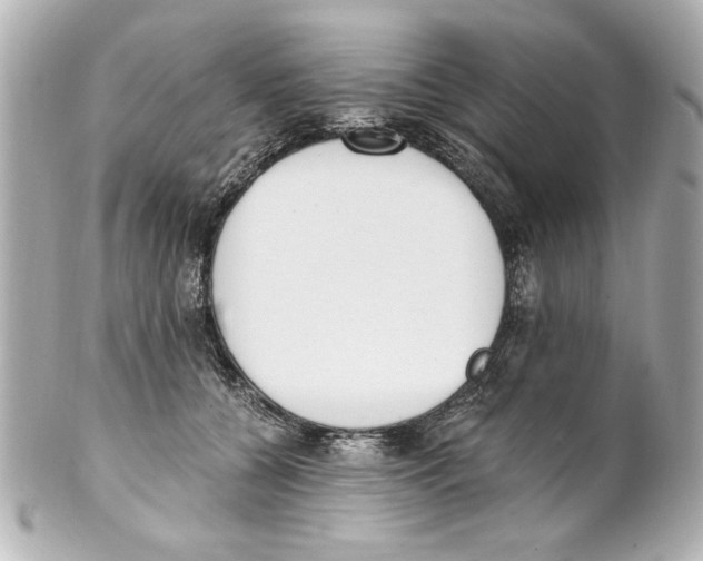 X0000101460560200808041044
