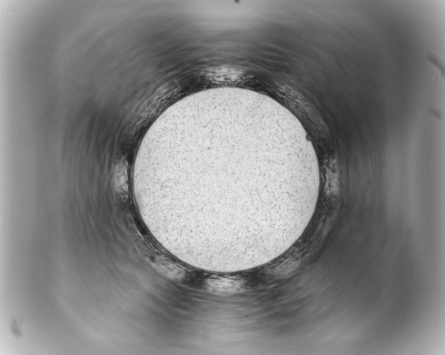 X0000101460561200808041044