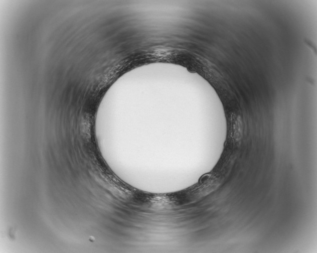 X0000101460562200808041044