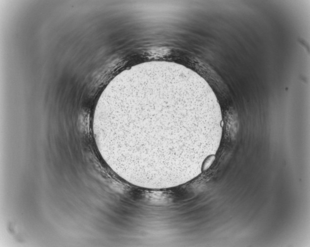 X0000101460565200808041044