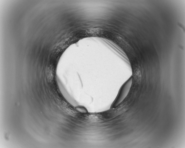 X0000101460566200808041044