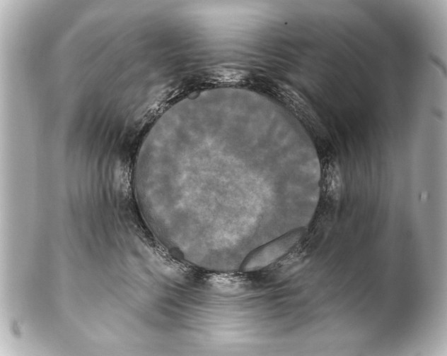 X0000101460568200808041044