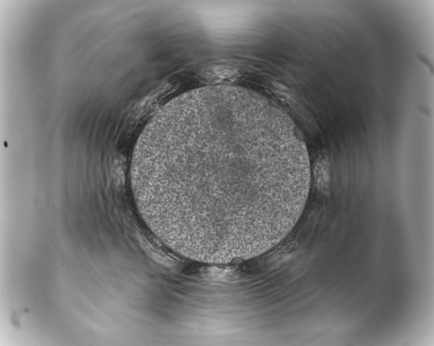 X0000101460570200808041044