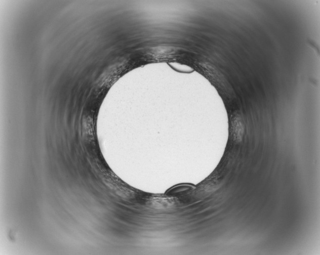 X0000101460571200808041045