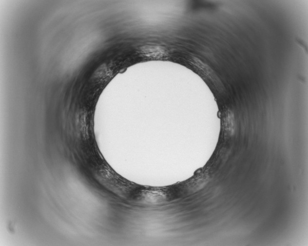 X0000101460572200808041045