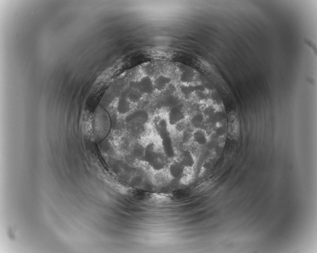 X0000101460573200808041045