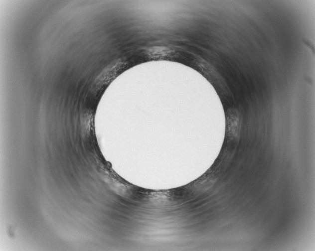 X0000101460574200808041045