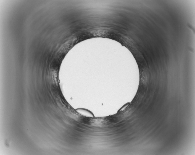 X0000101460575200808041045